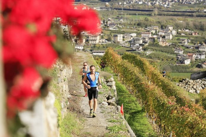 Valtellina-Wine Trail ATLETA