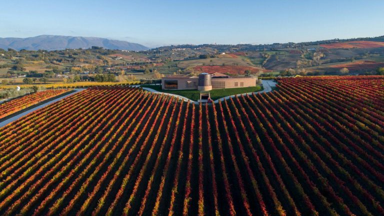 IV edizione ” Sagrantino Running”: una gara per tutti con lo sconto Storiecorrenti