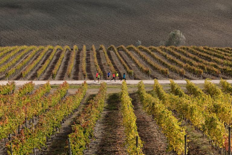 Il SAGRANTINO RUNNING TRAIL 2023