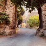 mandrione