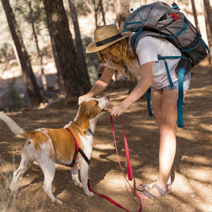 Vivere con un cane