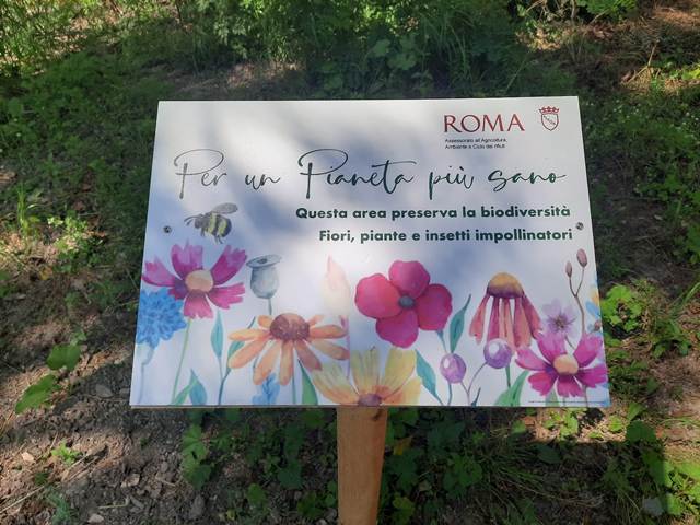 Prati di Acqua Acetosa